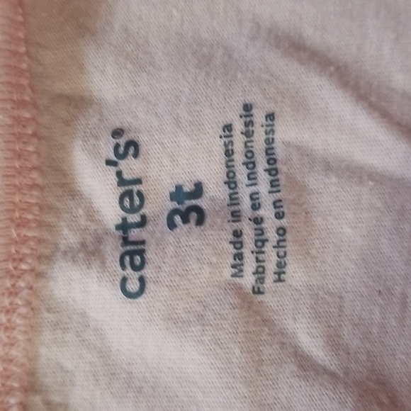 ❣5 for $25 Sale❣Bundle of 3T Animal-Themed Clothing - Picture 4 of 8